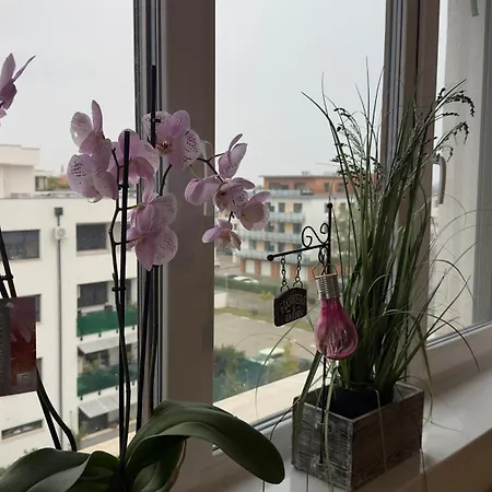 Csaladbarat Lakas Sziveben 아파트